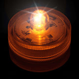 Orange One LED Submersible Top View