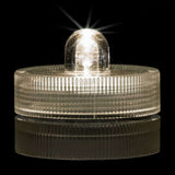 Warm White One LED Submersible Side View