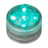 Teal Five LED Submersible Top View In Light