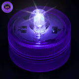 UV One LED Submersible Top View