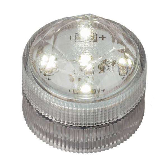 Warm White Five LED Submersible Top View In Light
