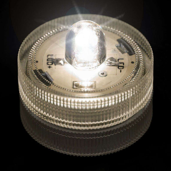 Warm White One LED Submersible Top View